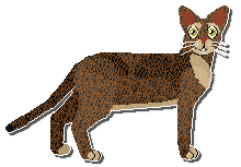 Profile image of Airship Sunny Bordeaux