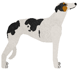 Kamvis' Niezawodny Wzrok Sokoli — “Sokół”