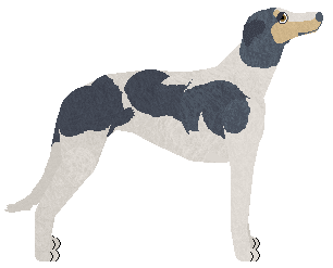 Polka BLACKCURRANT — “Malli”