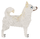 Monkshood Between Autumn Equinox — “Yuka”