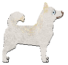 Profile image of Monkshood Between Autumn Equinox