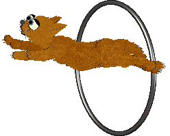 Amphigory's Sleight of Paw @ Mockingbird — “Dexterity”