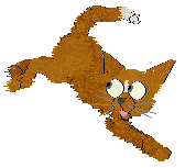 Amphigory's Sleight of Paw @ Mockingbird — “Dexterity”