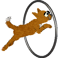 Amphigory's Sleight of Paw @ Mockingbird — “Dexterity”