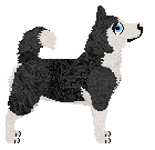 Monkshood Denali Sojourn — “Denali”