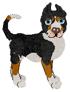 Ferality's No Direction @ Mockingbird — “Haphazard”