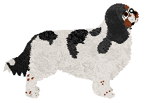 Cansas' Hammer To The Heart — “Gageul”