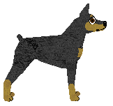 Cansas' Jake Delaney — “Rocky”