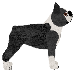 Cansas' Labubu — “Dandy”