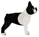 Cansas' Chaka-Zulu — “Simone”