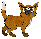 Amphigory's Jungle Crown @ Mockingbird — “Macaw”