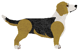 Cansas' Skylark Logan — “Logan”