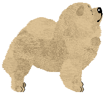 Cansas' Crimson Amora — “Oso”