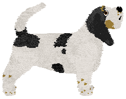 Cansas' THE RUGGED MAN — “Wycior”