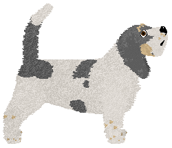 Cansas' HOLLA-LOO-YUH — “Karamba”