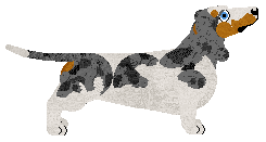 Cansas' Ayo Technology — “Hoover”