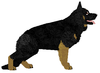 Cansas' Tennessee Love — “Zombie”