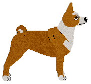 Cansas' RED'N'PEPPER — “Tikimi”