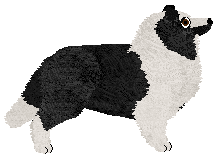 Myriad Oceanic Calmness — “Maple”