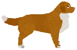 Caraway Valar Dohaeris — “Jim”