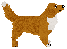 Cansas' Feel My Fire — “Lulu”