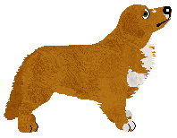 Quazi Akilli Pele Taikapoika — “Akilli”