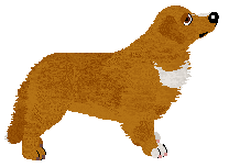 Cansas' Redhot Sensation — “Flanka”