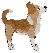 PD's Two-Steppin' Round the Room — “Oklahoma”