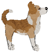 PD's Two-Steppin' Round the Room — “Oklahoma”