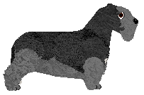 Cansas' Caribou Lou — “Caribou”