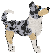 PD's Been a Little Overlooked — “Dandelion”