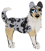 Profile image of PD's Been a Little Overlooked