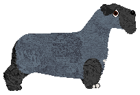 Cansas' Sky's The Limit — “Velcro”