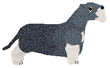 Cansas' Riot Maker — “Lydia”