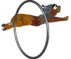 Sungraze Trickster's Legacy @ Mockingbird — “Tricky”