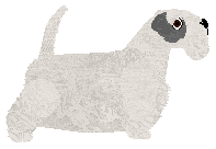 Cansas' Definition of Cool — “Verba”