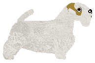 Dragosani LAST BREATH — “Elsa”