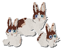 Profile image of Foxglove Tears Of The Sun