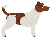 Cansas' Jeremy Sochan — “Jerry”