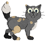 King's Last Light of Winter — “Blanket Fort”