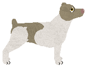 Cansas' Make It Lower — “Auri”