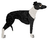 Cansas' Hugs and Kisses — “Kiss”