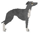 Cansas' Feel So Carefree — “Olaf”