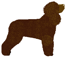 Cansas' Hidden Heaven — “Marrón”