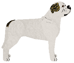 Cansas' Holly Molly — “Molly”