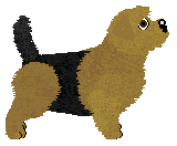 Cansas' Call Me Insane — “Rupert”