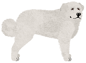 Profile image of Blanco Negro's ATRAKCYJNY