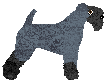 Cansas' Hello Darkness — “Steel”