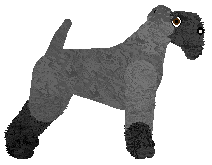 Cansas' Shades of Gray — “Celeste”