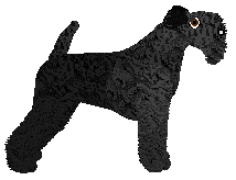 Cansas' Wakey Wakey — “Raat”